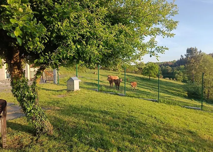 Casa Isaura De Pena Camino Primitivo Bed & Breakfast